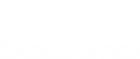 EagleXpres Logo